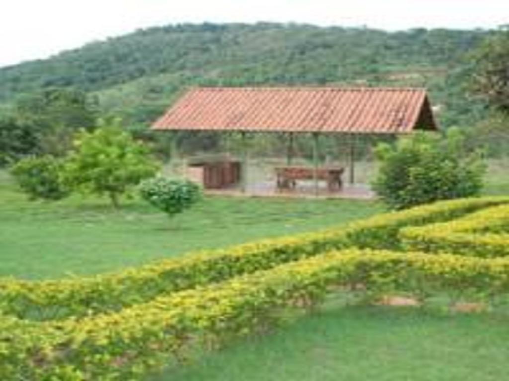 Pousada Carmel Garden Pirenópolis Buitenkant foto